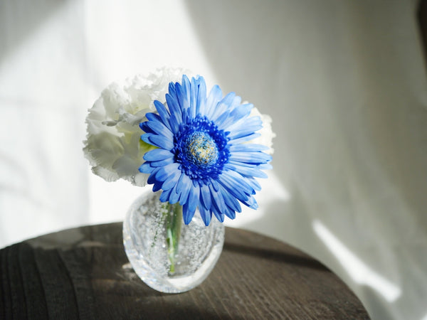 球體玻璃花器 小 一輪插 | Sazanami Glass